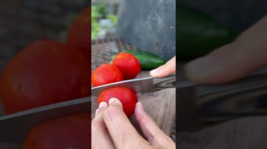 FCS x MKC EDC Knife still in stock!