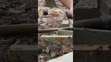 Prepping Beyond Stockpiling: Are You Living Your Life? @SurvivalDispatchNews is our new channel!