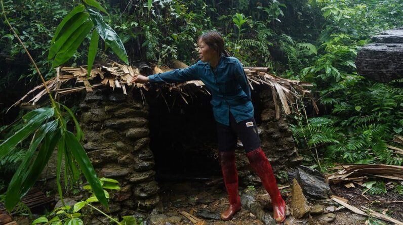 One-Armed Woman Survives Alone in the Rainforest- Solo Female Adventurer Lost Arm,Survives in forest