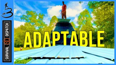 Survival Adaptability For The Next Depression