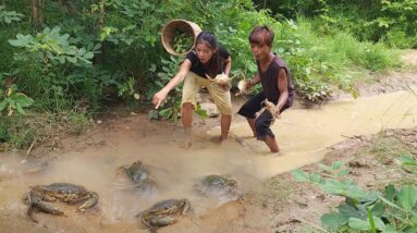Wow Big Big crab! Catching Crabs from lake and Cooking Soup for lunch