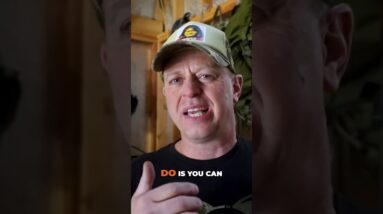 Cache Hiding Hacks - Keep Humans and Animals Out! SDN is on RUMBLE link in description