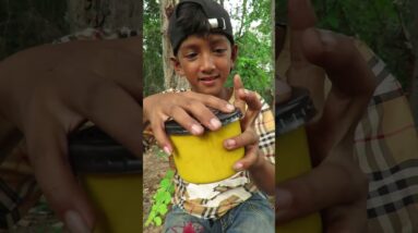 Survival Skills: SIMPLE but very USEFUL #outdoors #camping #survival #bushcraft