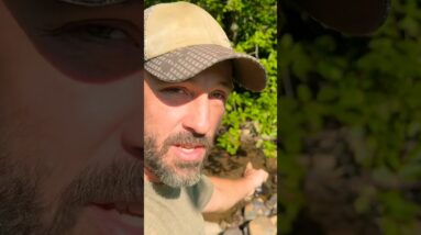 Make it safe to drink