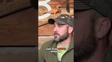 Should You Use Night Vision to Move at Night?? SDN is on RUMBLE link in description