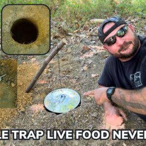 How To Catch Live Food with a DIY Hole Trap