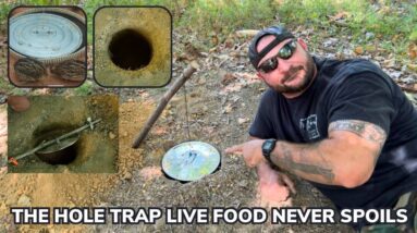 How To Catch Live Food with a DIY Hole Trap