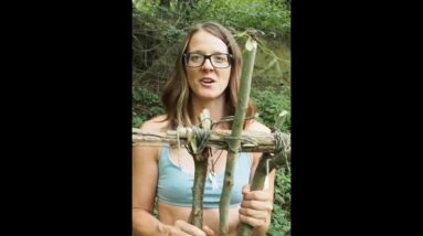 Crossbow for Survival