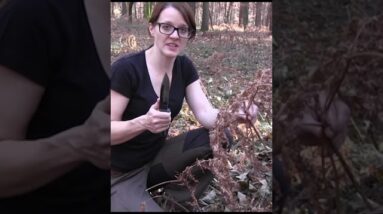 Debris Hut for Survival