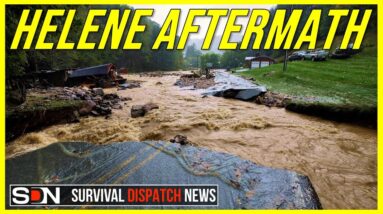 Devastation in the Blue Ridge Mountains | APPALACHIAN SURVIVAL EP278