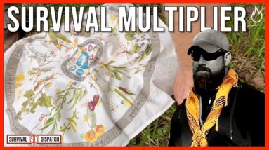 Foraging to Fire: How the BandaNET is a Survival Game Changer