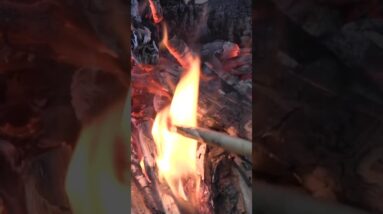 How to Build a Primitive Atlatl #survival