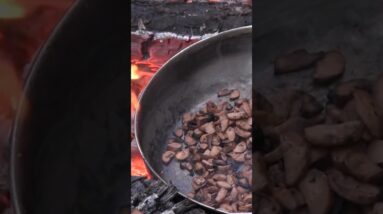 How to make Acorn Coffee