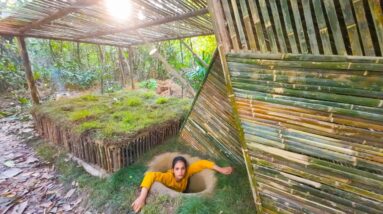 I Built a Secret Underground Jungle Villa With My Bare Hands