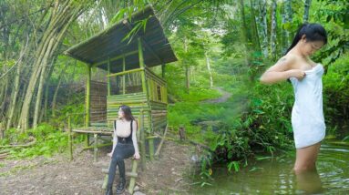 Full-video: 10 Days Building Cabin in the Bamboo Forest - Alone Determined from Start to Finish