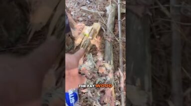 Shelter Build Challenge - Using Resources Wisely