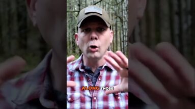 How to Find Safer Routes to Work! SD News in on RUMBLE link in description