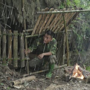 3 DAY Solo Bushcraft Survival in the RainForest - Building Warm Bushcraft Survival Shelter