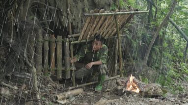 3 DAY Solo Bushcraft Survival in the RainForest - Building Warm Bushcraft Survival Shelter