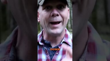 Situational Awareness👀Why Yellow is Best to Stay In | SD News is on RUMBLE link in description