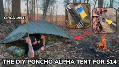Solo Overnight Building a DIY Poncho Alpha Tent For $14 in the Woods