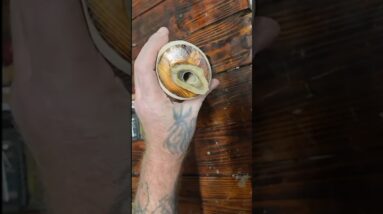 Black Powder Horn part 2