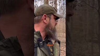 🦌Tracking Deer: How to Find and Follow Active Game Trails