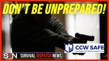 Importance of Self Defense With CCW Safe EP376