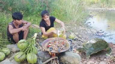 Adventure in forest: Spicy turtle egg cooking with Coconut water is delicious food, eating delicious