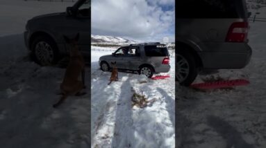 Skills Over Gear | Mastering Vehicle Recovery #VehicleRecovery