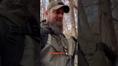 👣What does your brain filter out when tracking? SDN is on RUMBLE link in description