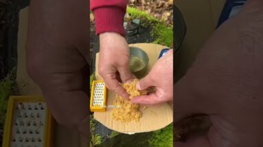Hobo Survival Hacks Found On the Internet