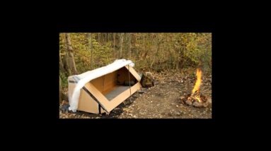 Man Builds a Cardboard Mansion and Lives Rent Free