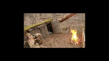 Man Builds a Hobbit House in the Woods and Lives off The Land