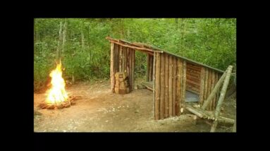 Man Builds a Trappers Cabin From Scratch in The Woods