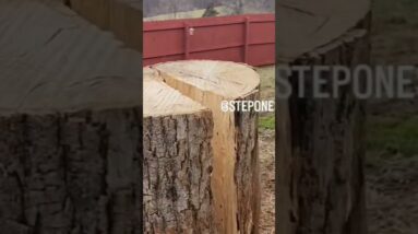 My Girls helping me get ready for the next snowmageddon