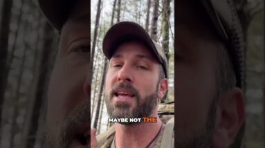 When is it better to travel on foot post SHTF? SD News is on Rumble, link in description