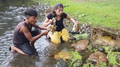 In Forest, We Catch frogs and cook for delicious jungle food @survivalskillsanywhere