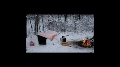 Build This Snow Shelter and Live