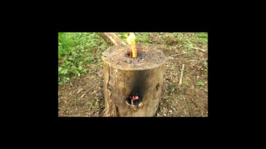 Make a Simple Survival Stove from a Log