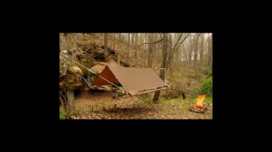 Save $500 with a DIY Tree Tent in The Woods