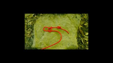 Tie an Arbor Knot in Seconds