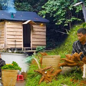 FULL VIDEO: 100 Day Building houses, gardens, alone build life last for years in forest