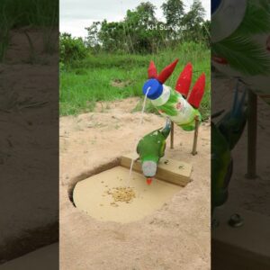 Survival Skills: Underground parrot trap #parrot #parrottrap #outdoors #birds #ideas
