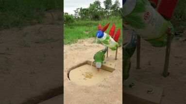 Survival Skills: Underground parrot trap #parrot #parrottrap #outdoors #birds #ideas
