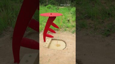 Survival Skills: SMART ideas and USEFUL with PARROT trap #parrot #parrottrap #outdoors #ideas