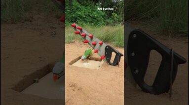 Survival Skills: SMART idea and USEFUL with underground parrot trap #outdoors #parrot #parrottrap