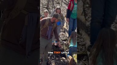 💦Harvesting Safe Drinking Water at a Spring!