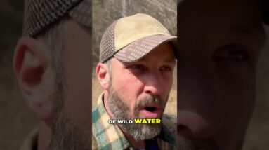 I drink wild water everywhere I explore. Why?