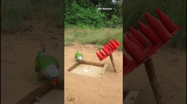 Survival Skills: shows SURVIVAL skills with parrot trap #parrot #parrottrap #outdoors
